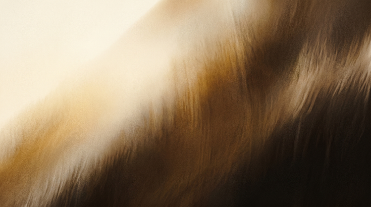 8 Best Financial Regulatory Compliance Software for Enterprises