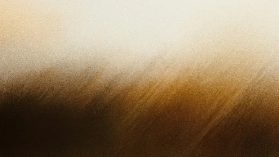 Field 3 texture