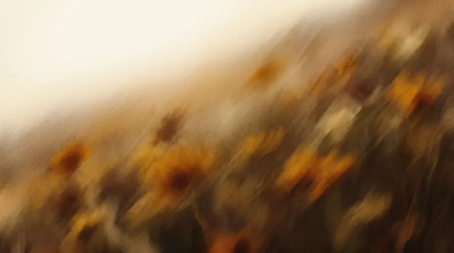 Field 5 texture